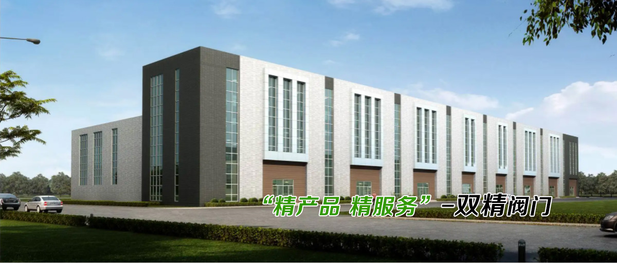 浙江雙精閥門公司介紹